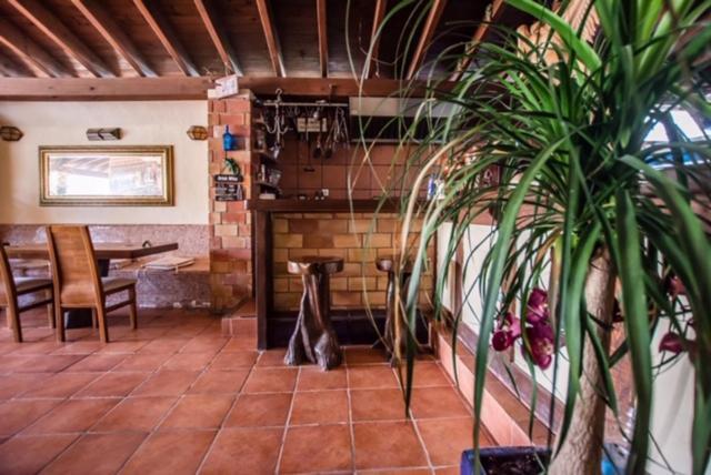 El Cortijo Escana Es Cana Exteriör bild